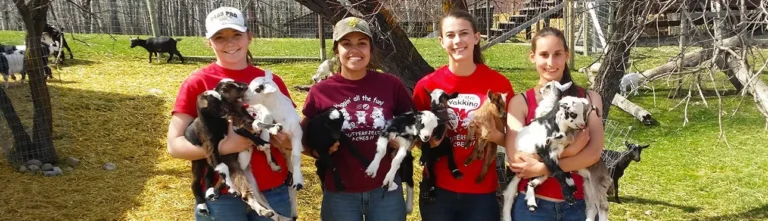 Butterfield Acres Spring Babies Festival: Calgary’s Cutest Spring Tradition