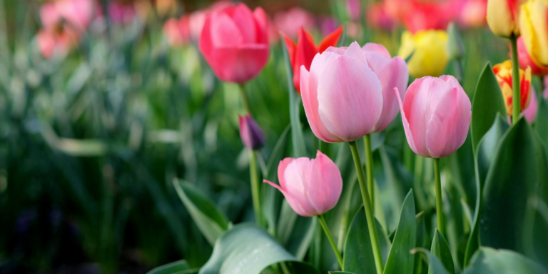 50+ Events Happening This April You Don’t Want to Miss