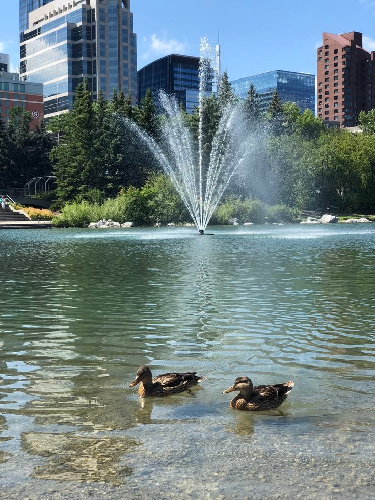 [June 01 – 05, 2026]Top Things To Do In Calgary This Week!