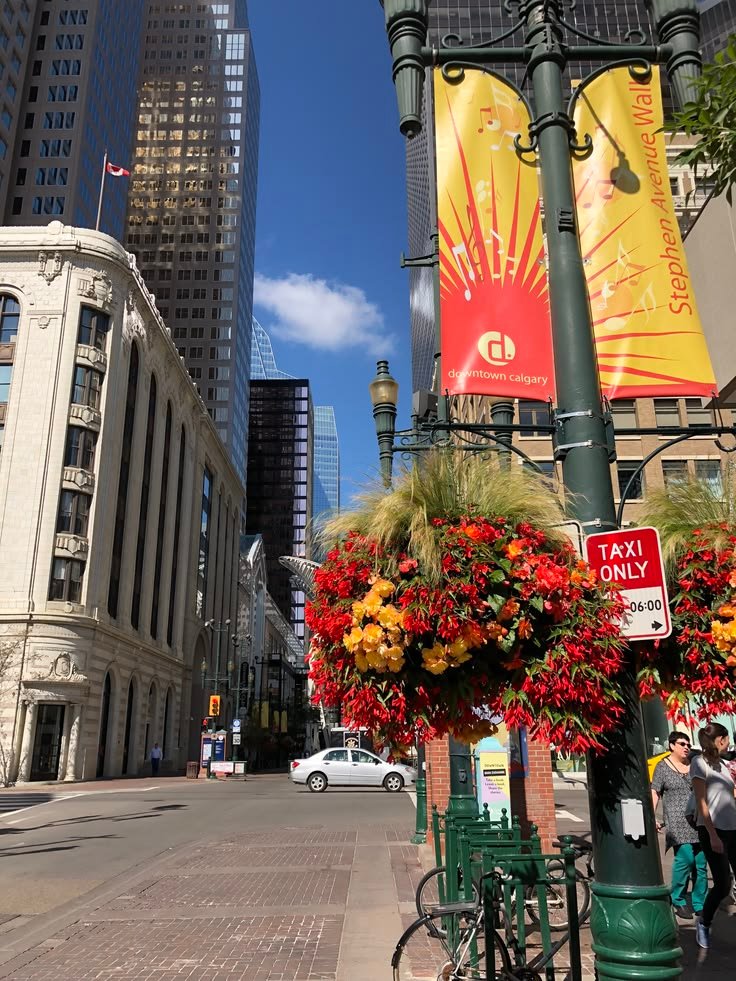 Ultimate Calgary Weekend Events You’ll Love