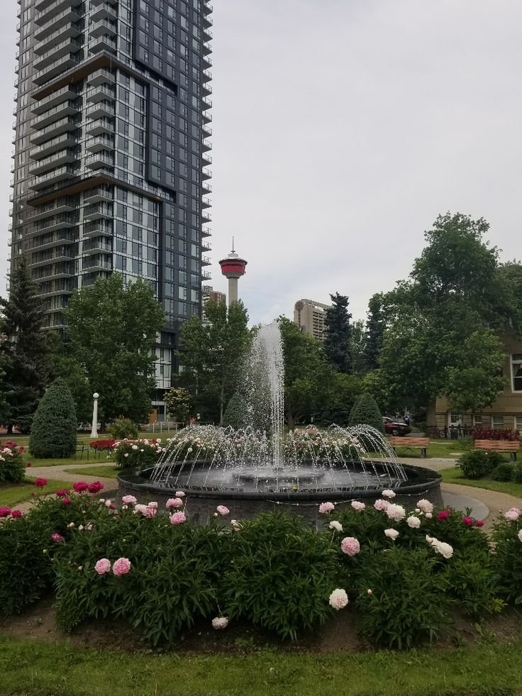 [May 25 – 29, 2026] Top Things To Do In Calgary This Week!