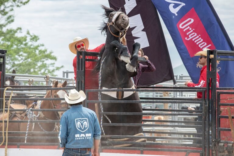 A thrilling rodeo scene featuring a bucking horse and cowboys in outdoor setting.
