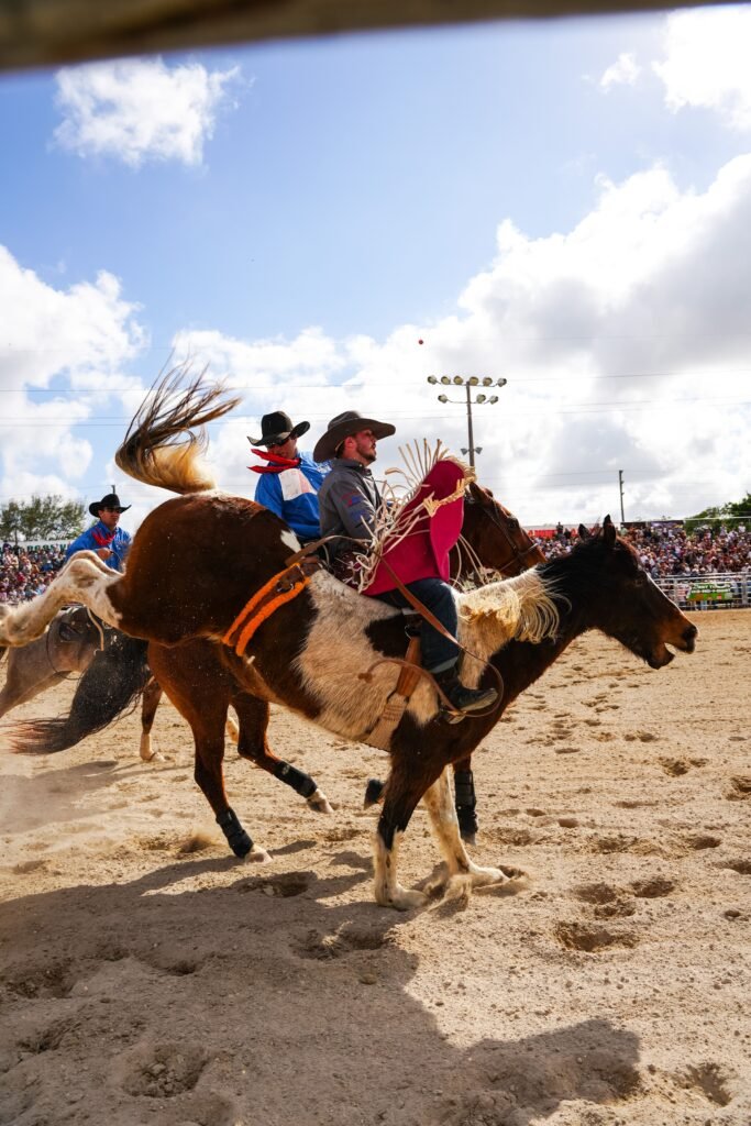 Cowboys compete in a thrilling rodeo event showcasing skill and agility on horseback.