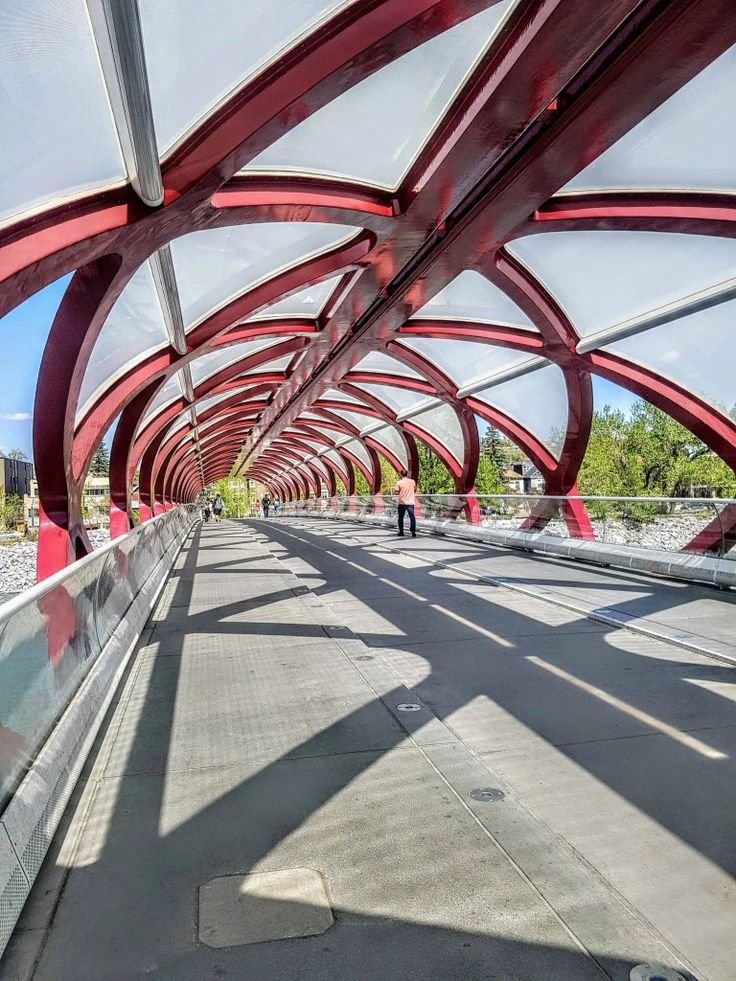 Ultimate Calgary Weekly Events You’ll Love