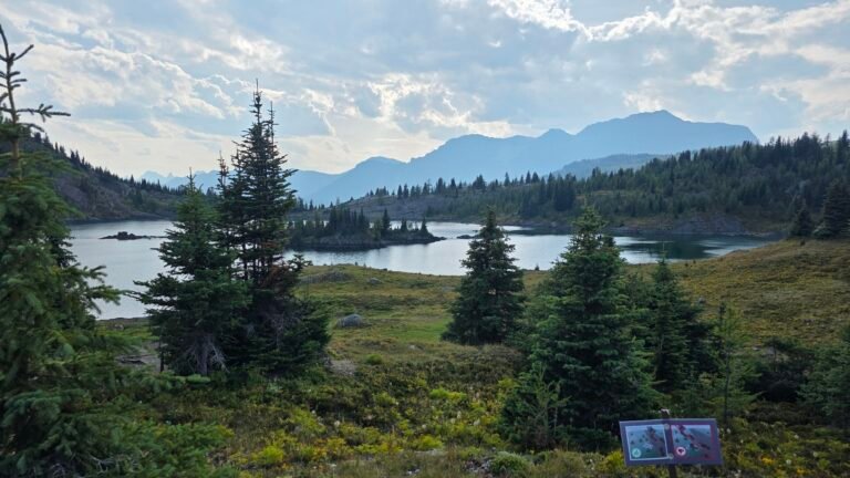 Sunshine Meadows Hike Guide: Everything You Need to Know Before You Go