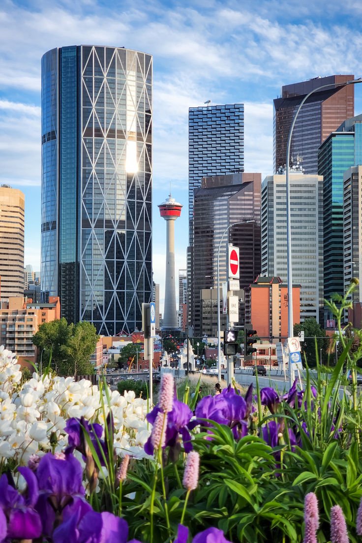 Ultimate Calgary Weekend Events You’ll Love
