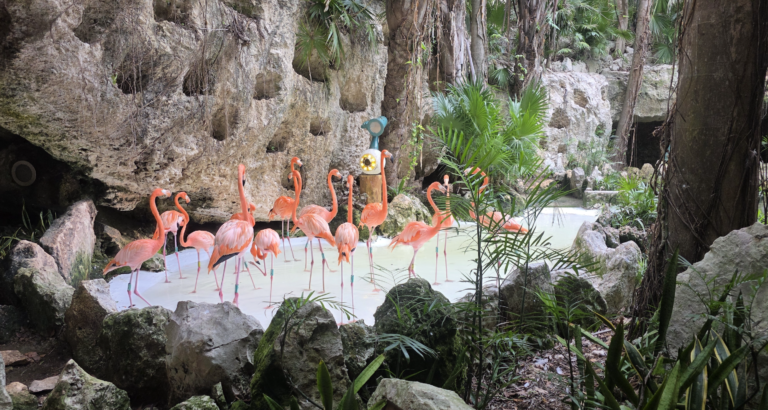 How to Spend 5 Days in Playa del Carmen: Our Complete Couple’s Itinerary (2026 Guide)