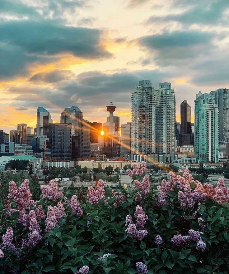 FREE events In Calgary This September: 33 Things To Do Without Spending a Dime