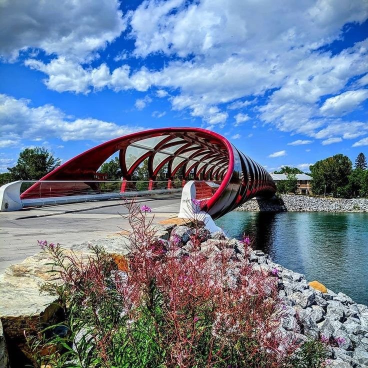 Ultimate Calgary Weekly Events You’ll Love