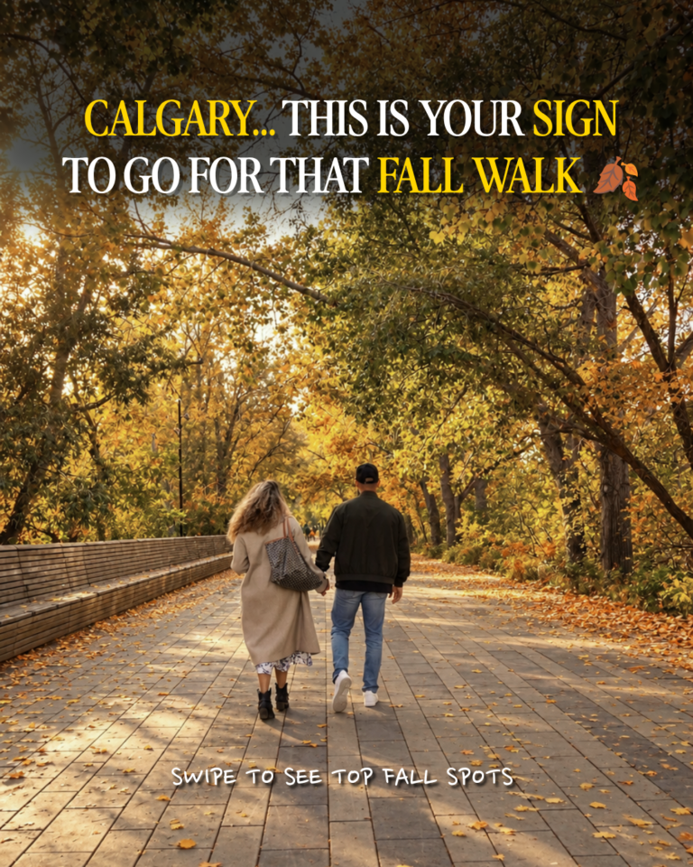 12 Beautiful Places to See Fall Colours in Calgary